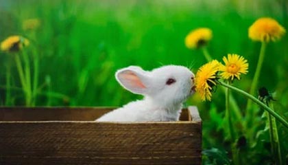 开云体育下载app-国家体育总局、中国足协电贺U23国足创造历史最佳成绩